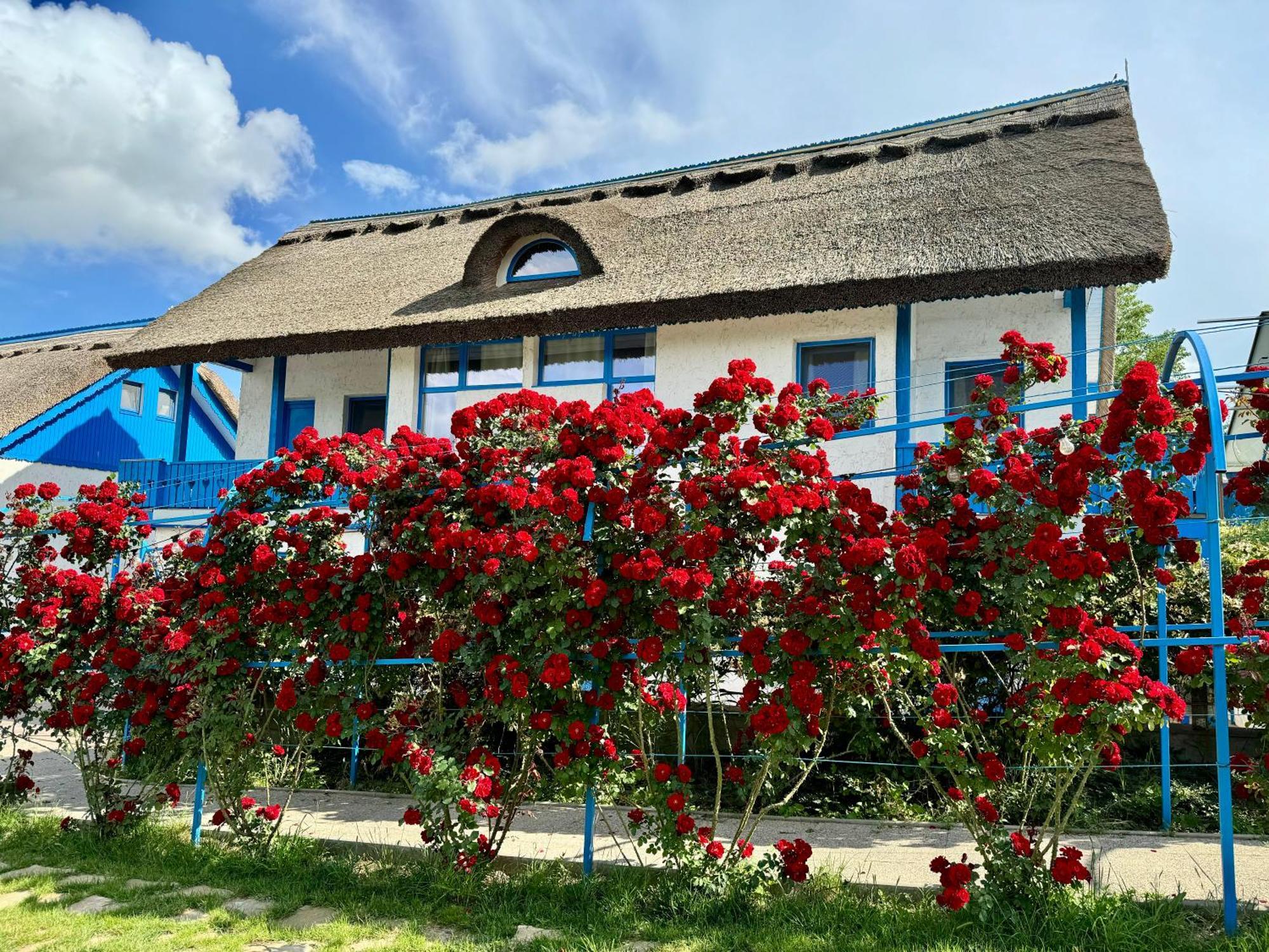 Nena Art Resort Дунавэцу-де-Жос Экстерьер фото