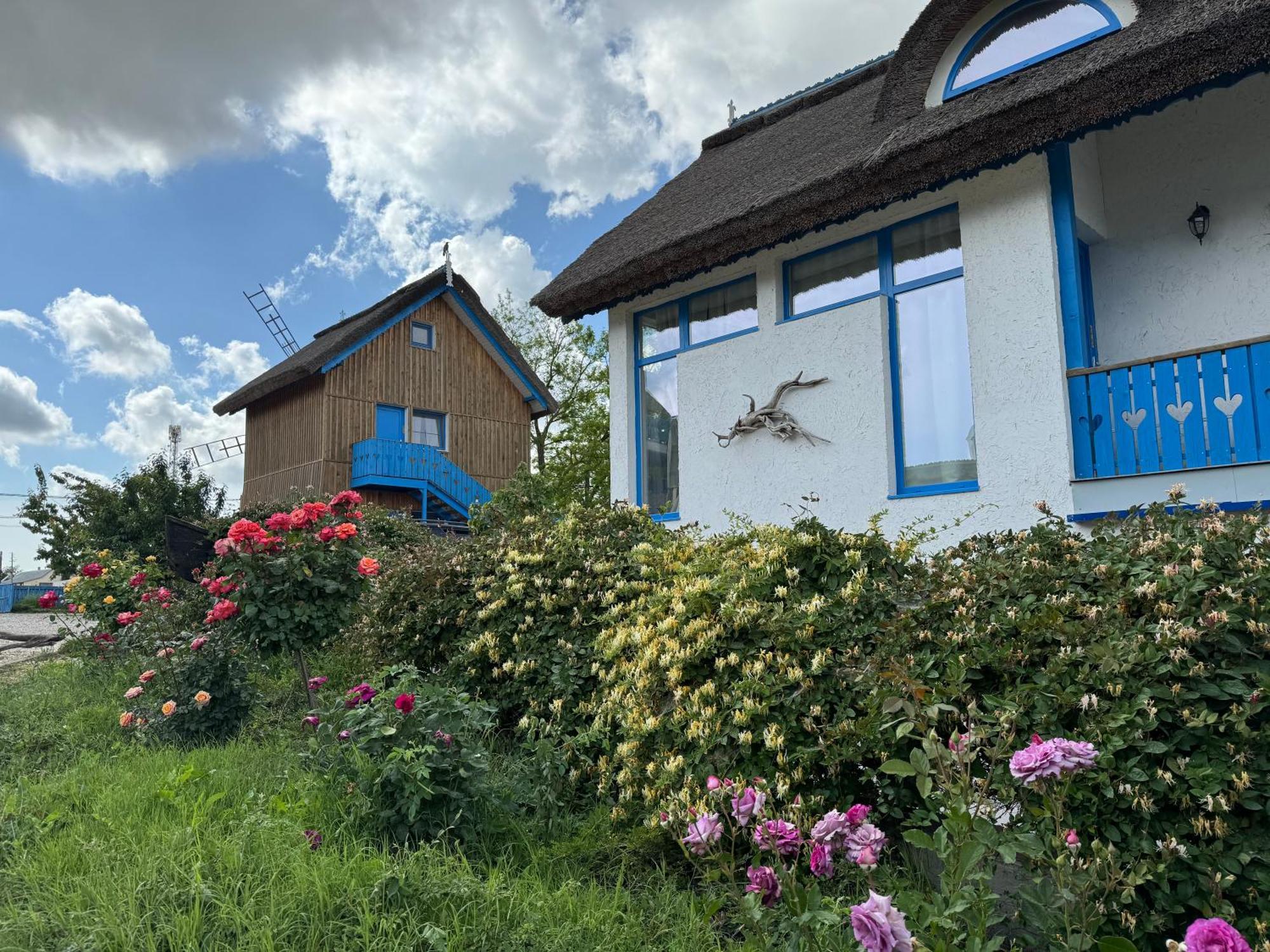 Nena Art Resort Дунавэцу-де-Жос Экстерьер фото
