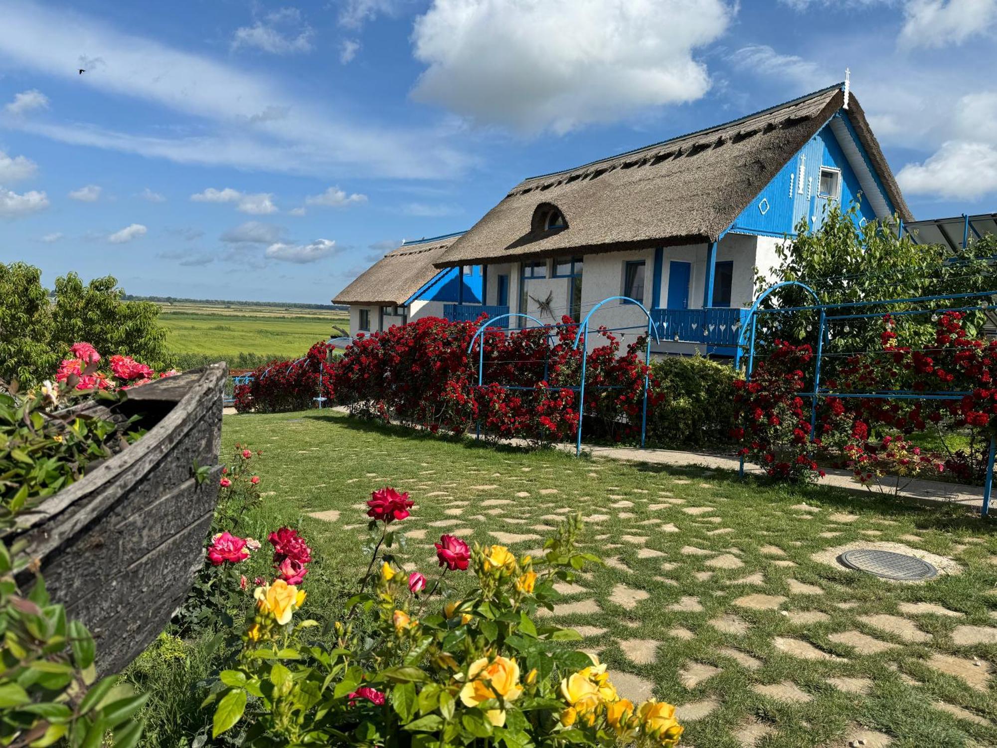 Nena Art Resort Дунавэцу-де-Жос Экстерьер фото